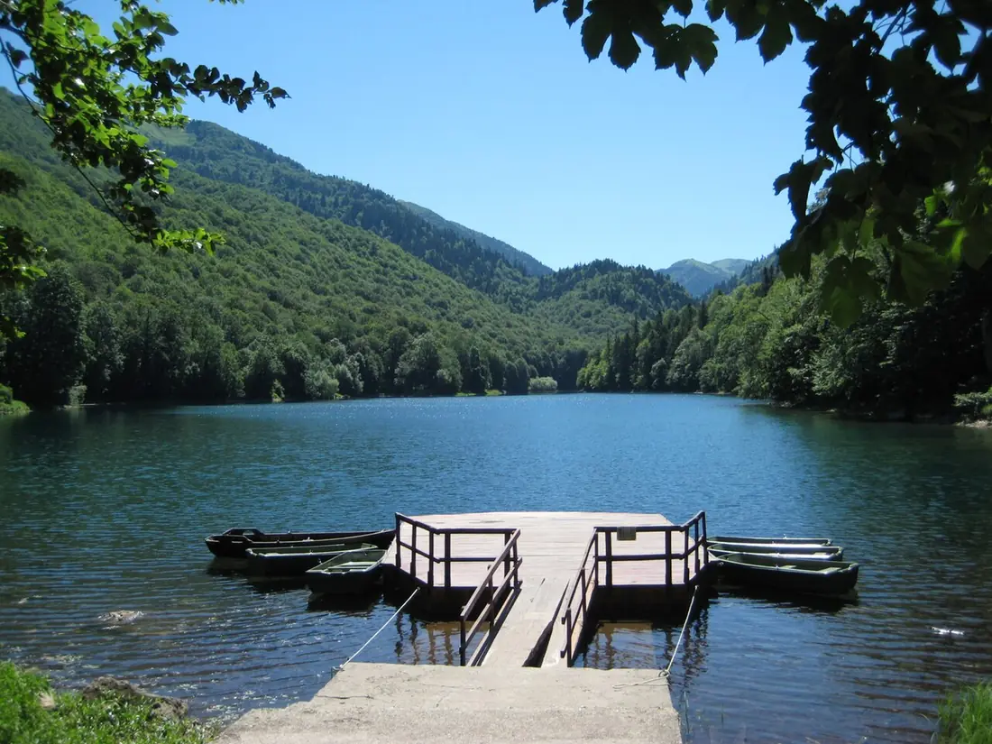 Lake Biograd and forest beside a wooden jetty