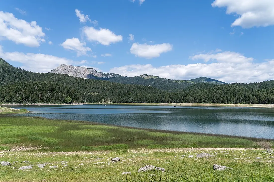 Black Lake beside the forested slopes of Durmitor